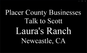 Lauras Ranch Screenshot for video